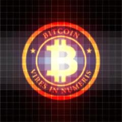 Bitcoin Enthusiast