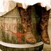 Cute n Country (@cutencountry) Twitter profile photo Cute n Country (@cutencountry) Twitter profile photo