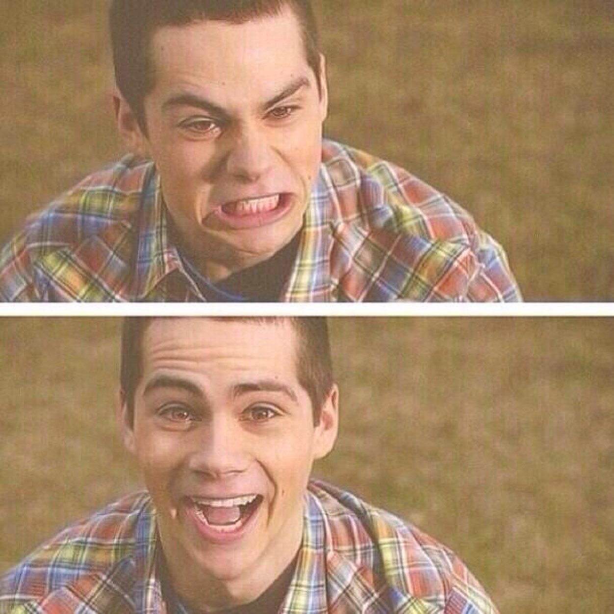 ThemWolvesTho's profile picture. After the first episode I got addicted, and now I spend my time obsessing...Teen Wolf ruins lives, yo