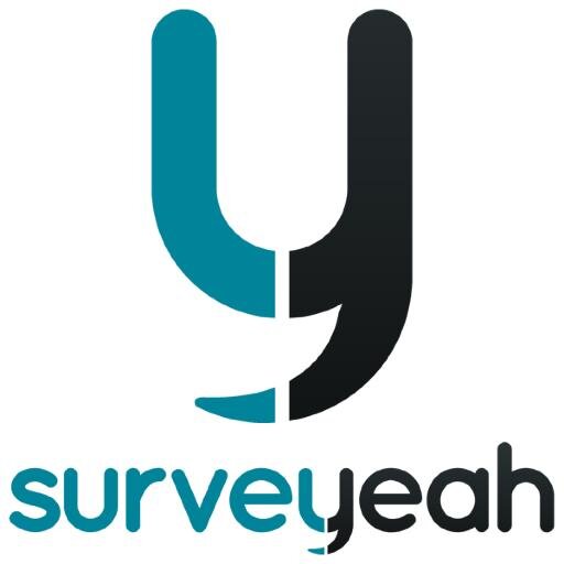 Surveyeah sends paid online surveys to its members!