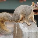 Edward regan - @edregan4 - Twitter