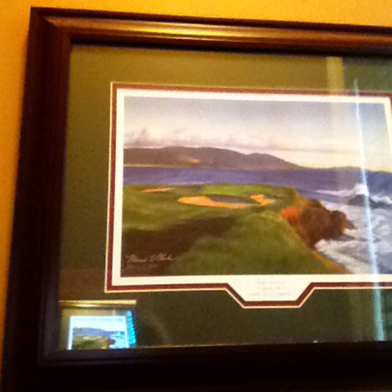 tgohome's profile picture. 