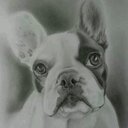 Diana & Ginger V.N. - @GirlpowerGinger - Twitter