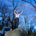 Ted de Haas (@teddehaas) Twitter profile photo