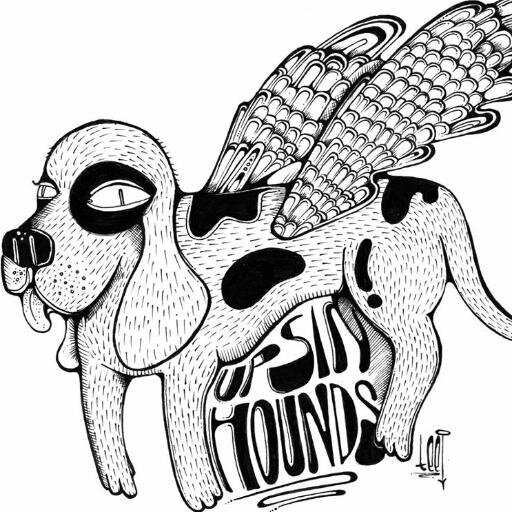 Upsin Hounds blends rock, pop, and soul music. Their lush three part harmonies help to create a timeless sound while maintaining their roots as a rock trio.