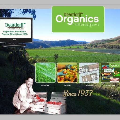 A Ventura County 4th generation grower, packer, & shipper of fresh vegetables & fruits for wholesale and our 'CSA' direct-to-consumer program, Fresh Picks.