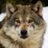 Rob_Bianconi's profile image