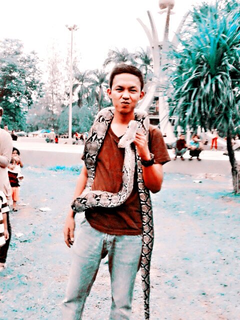 ||Someday, I will be a proudly boy . I'm promise! ☺||Sugar glider my pets||