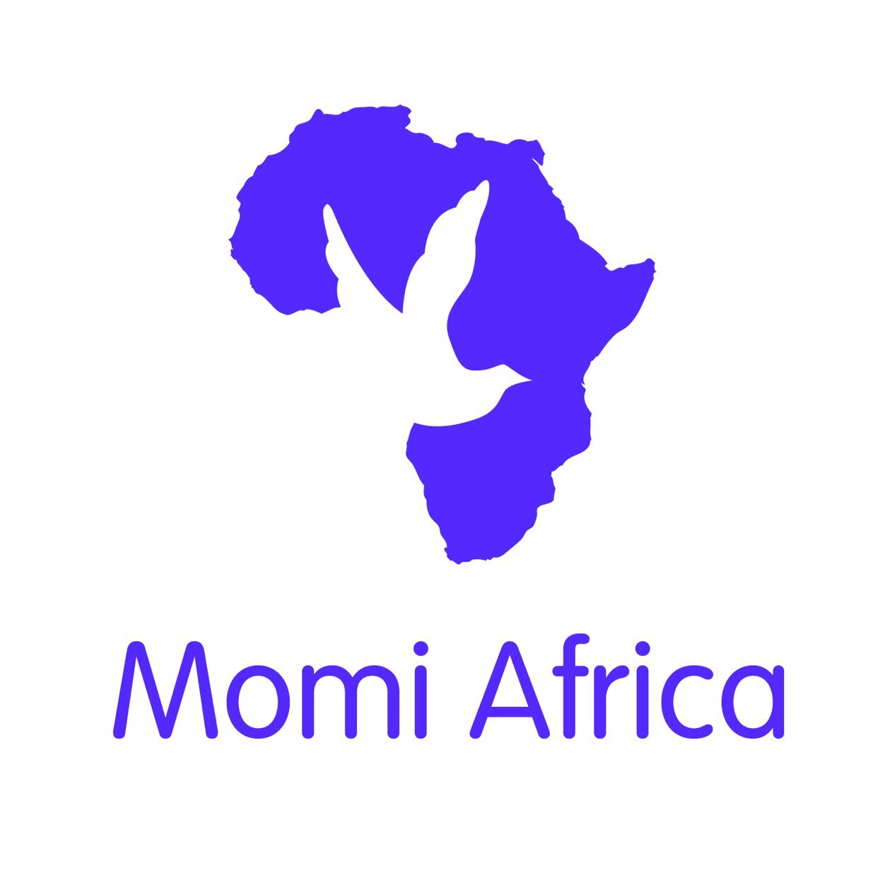 MOMI AFRICA, Committed to Scalable Social Inclusion Initiatives in Education, Enterprise and Equity for Peace, Economic Security, and Sustainable Futures