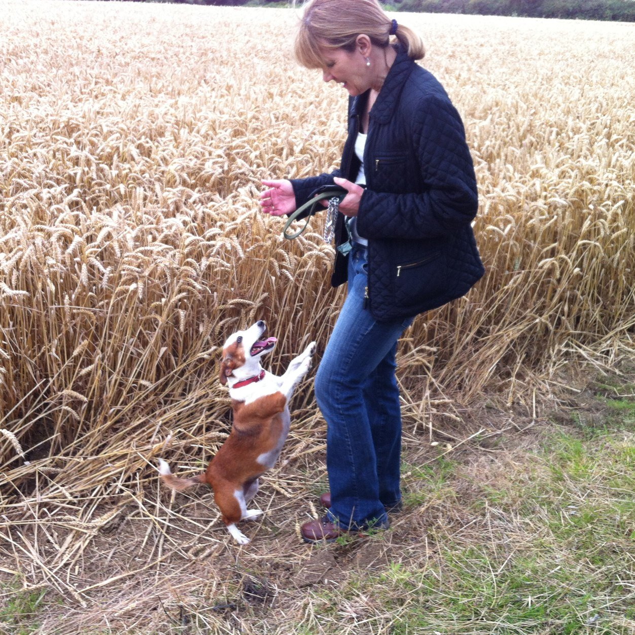 casoakleas's profile picture. Mother to 4 brilliant Sons who have learnt to tolerate my weirdness. Likes theatre, music & comedy. Live life to the full, love unselfishly and laugh endlessly!