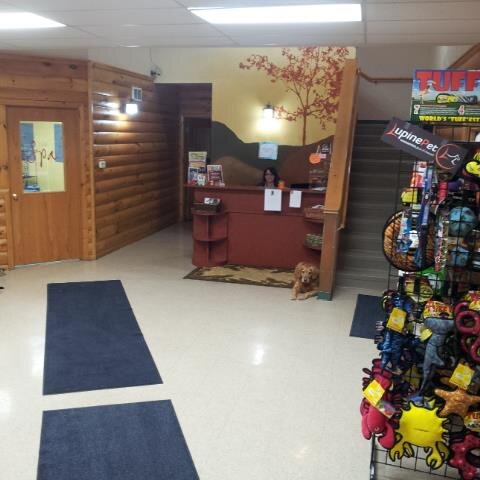 autumglo's profile picture. Your pet deserves a vacation!!!