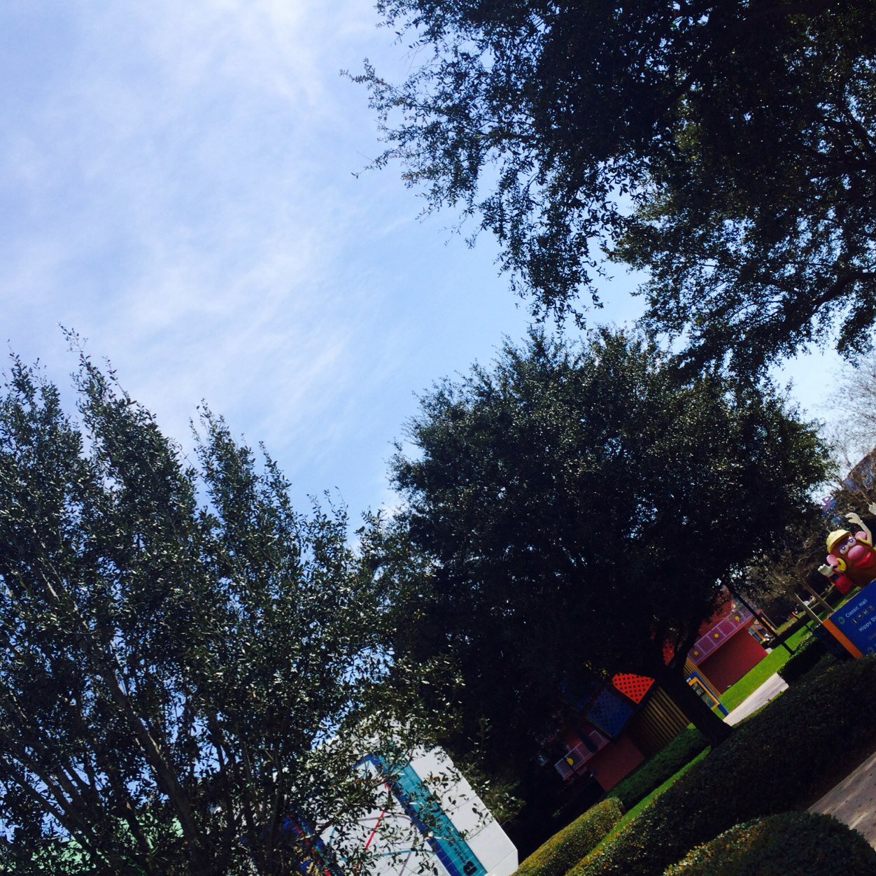 RhondaJsue's profile picture. 