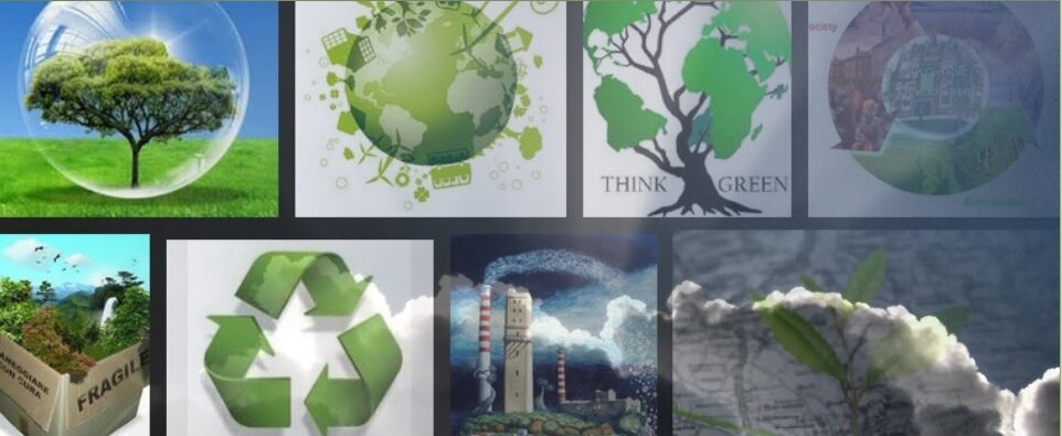 Siamo il network dei Giardini di Babilonia: aziende, università, istituzioni, associazioni e professionisti che si confrontano ciclicamente su progetti green.