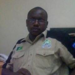 tomyego's profile picture. 