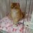 Sally's Twitter (X) avatar