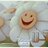 amhbimani's profile image