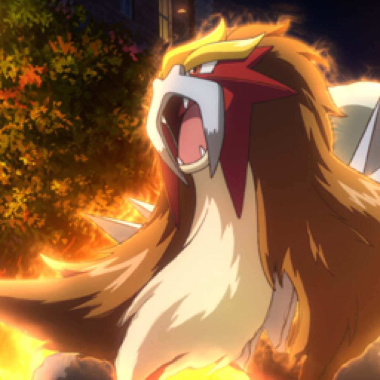 . The Volcano Pokemon. Fearless, Calm, Royal, Random That's Me. My Brothers Suicune And Raikou Are With Me Always. #Trainer @Official_Touko Fire Is My Life!!