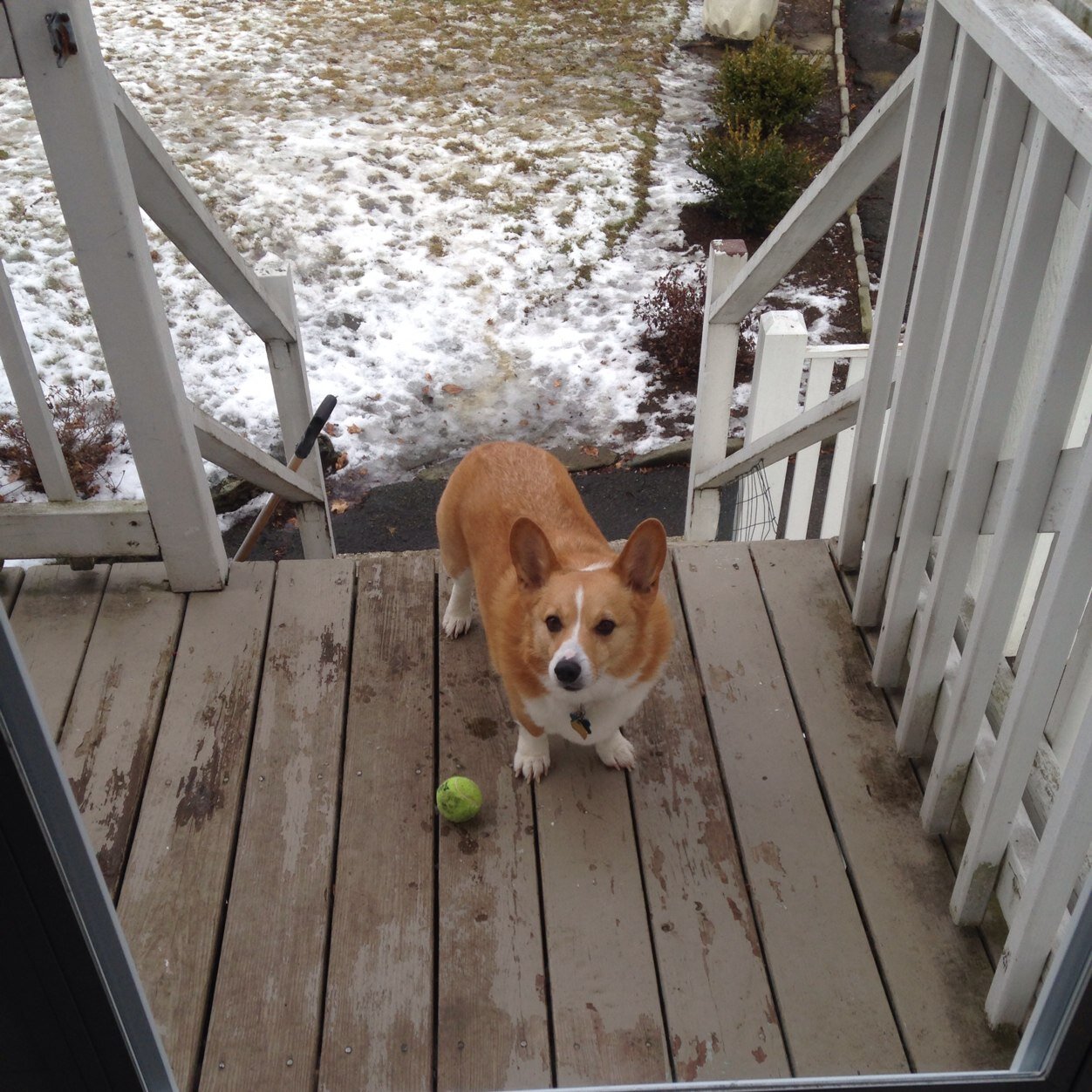 jeffearl74's profile picture. 