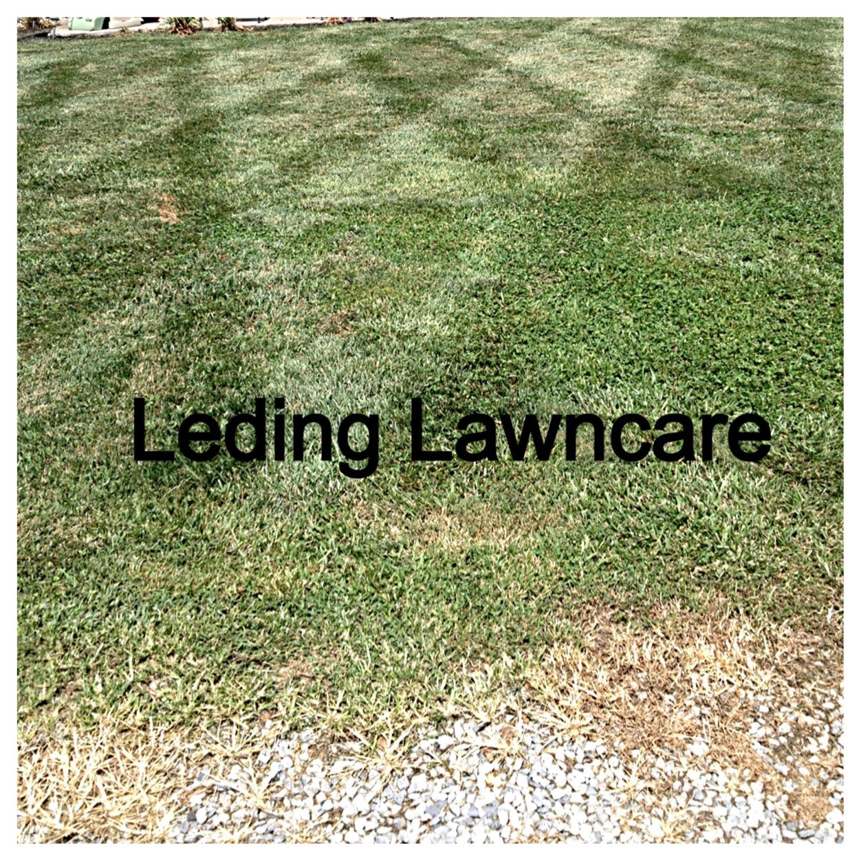 LedingTyler's profile picture. Keep it real