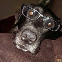 Michael Yousefi (@mikey10s) 's Twitter Profile