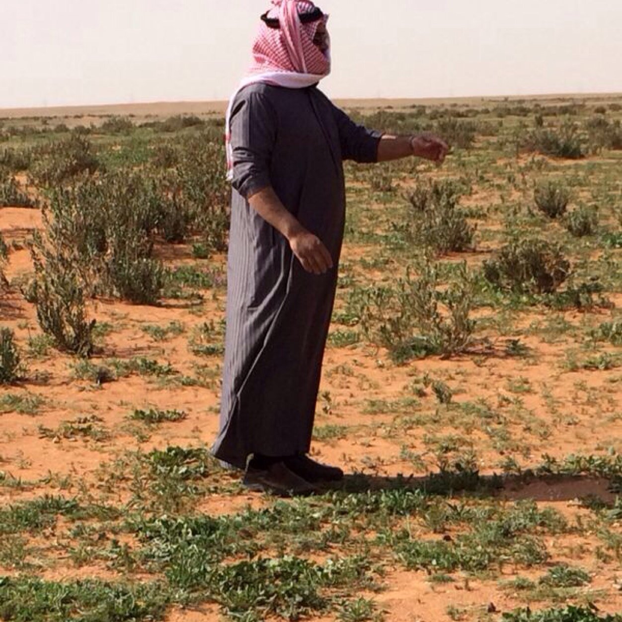 لَقَدْ خَلَقْنَا الْإِنسَانَ فِي كَبَدٍ
