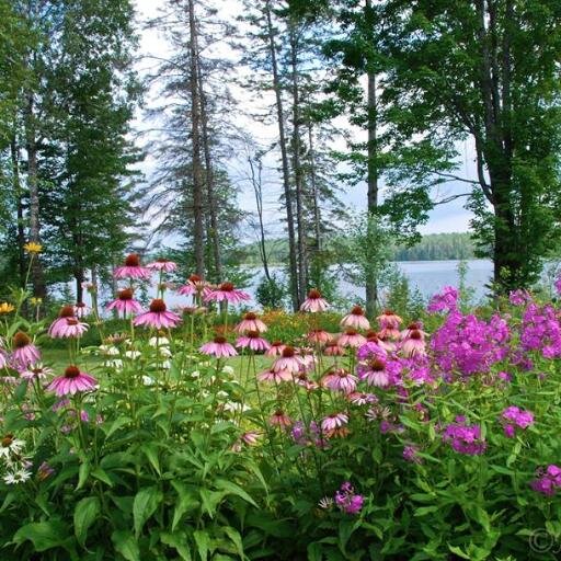We are the non-profit of Incinerator Free Lake County working on environmental and economic sustainability issues in the Midwest.