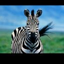 Erin Bragg - @erinbraggxx - Twitter