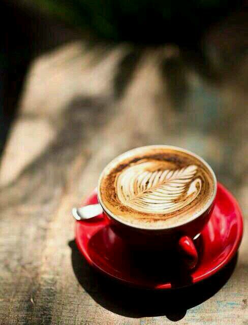 sommacal76's profile picture. 