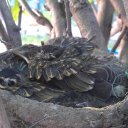 Walter Starr - @WaltStarr72 - Twitter