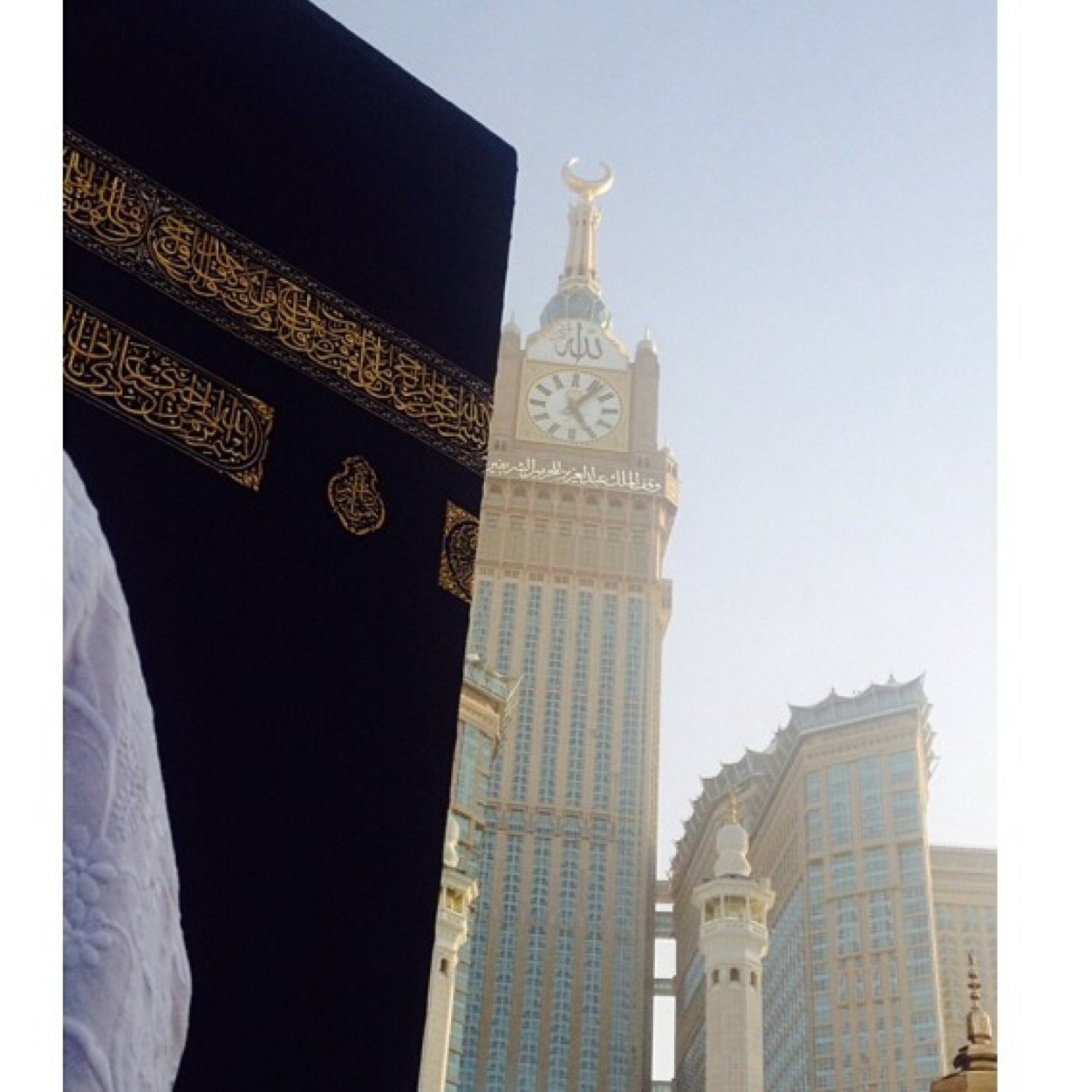 AlshahdS's profile picture. 