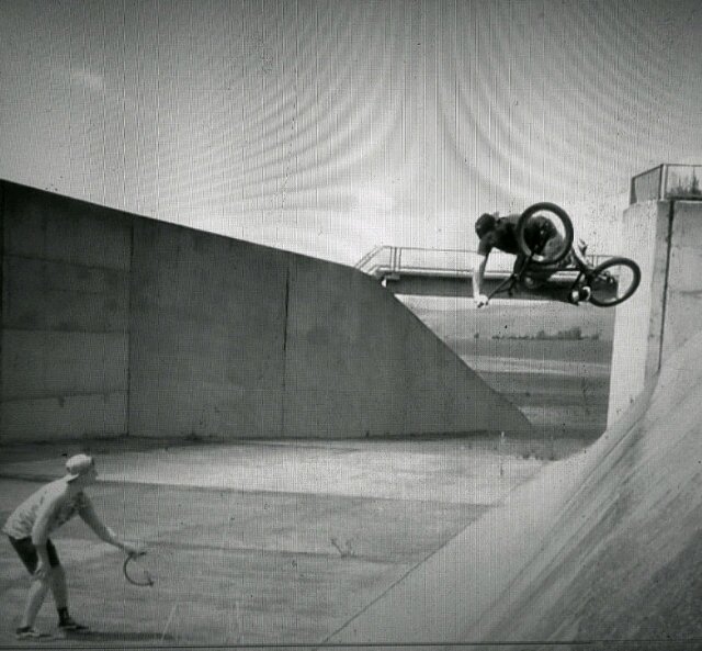 attillathehann's profile picture. 