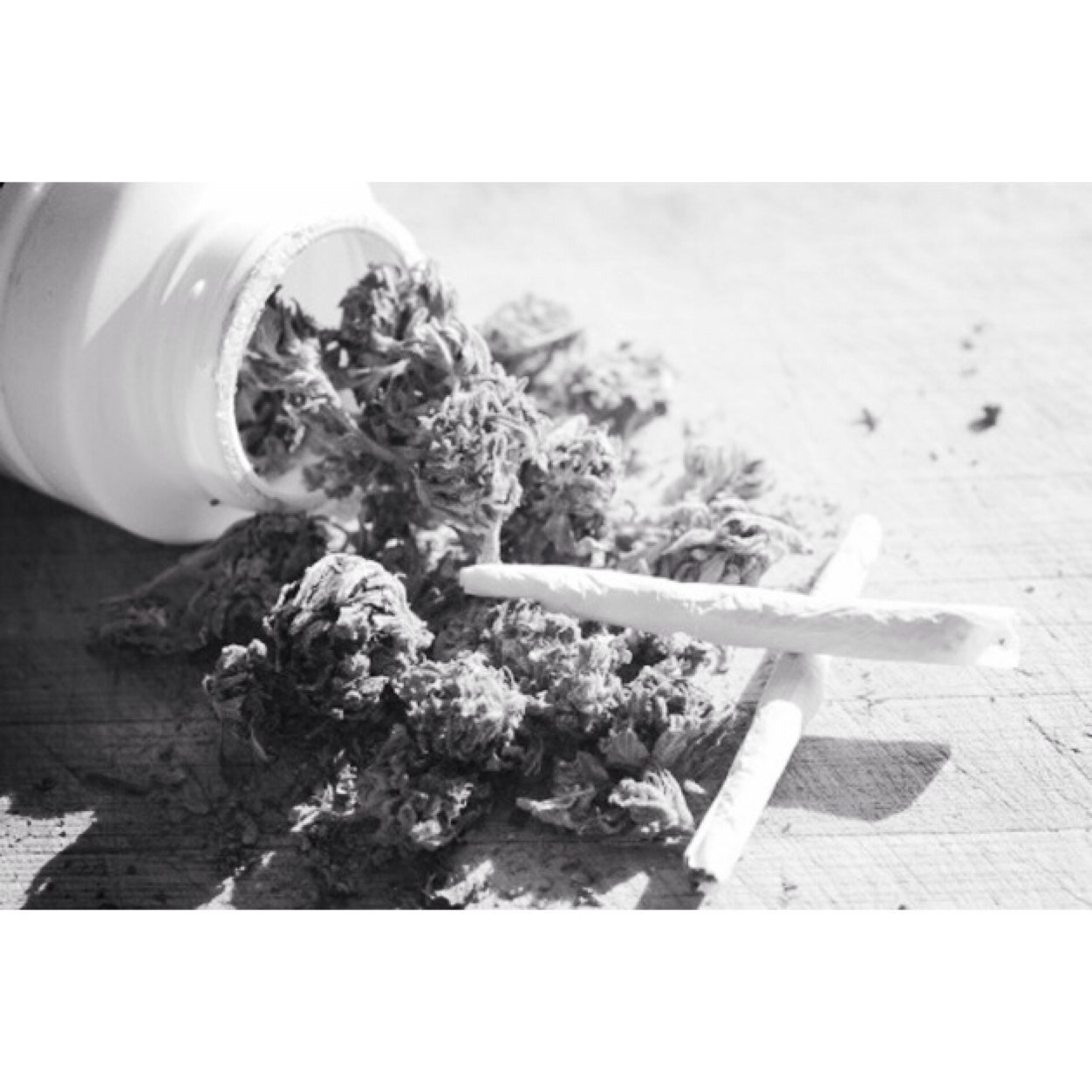 Jvster_'s profile picture. roi de la filsdeputerie