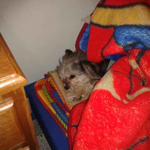 ruby1012014's profile picture. 