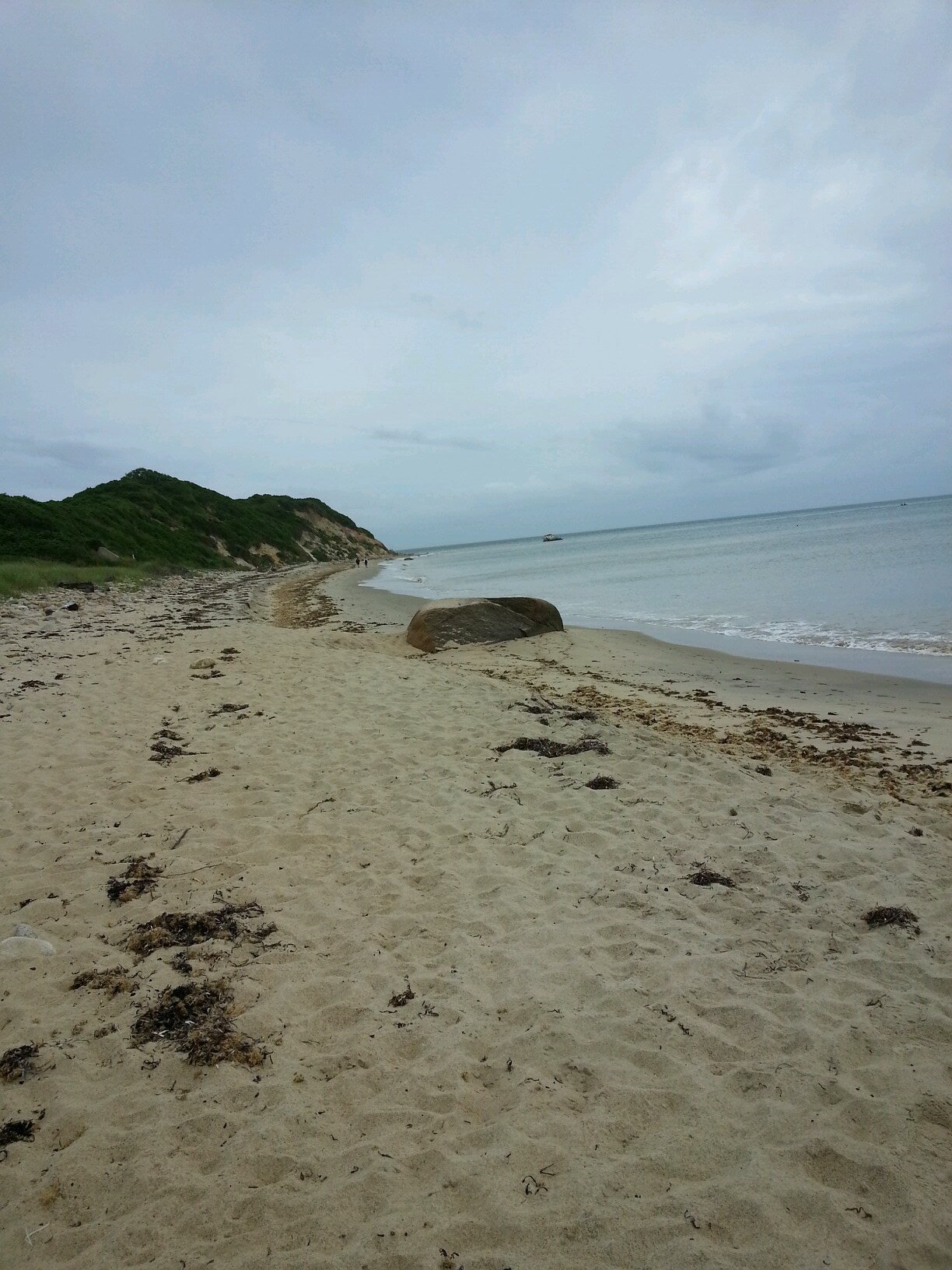 jillymla's profile picture. mom of two, Giant's fan, Red Sox fan, swim fan, should have been a doctor.