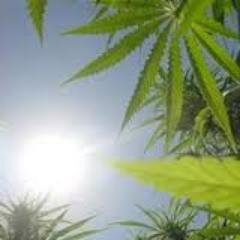 It's all about living healthy and enjoying your life. #CBDLife #HempOilBenefits #HempLife #HempMLM