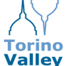 torinovalley's profile picture. 