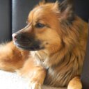 Kevin Howerton - @shmevin0416 - Twitter