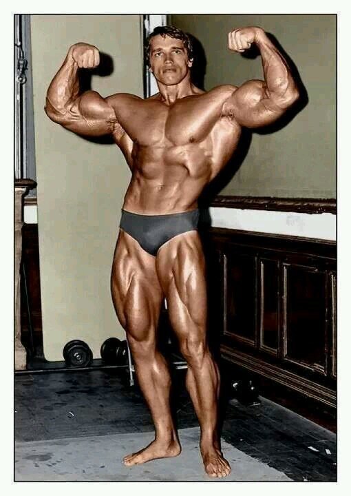 personal trainer , instructor de fitness nutricionista Men´s Physique ,