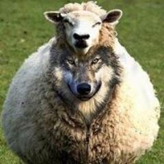 daru's profile picture. Thinking about creation of my own religion.