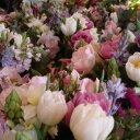 Florist Full Service (@1964Polcaro) Twitter