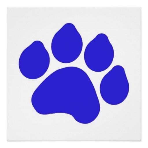 Riley_Wildcats's profile picture. 