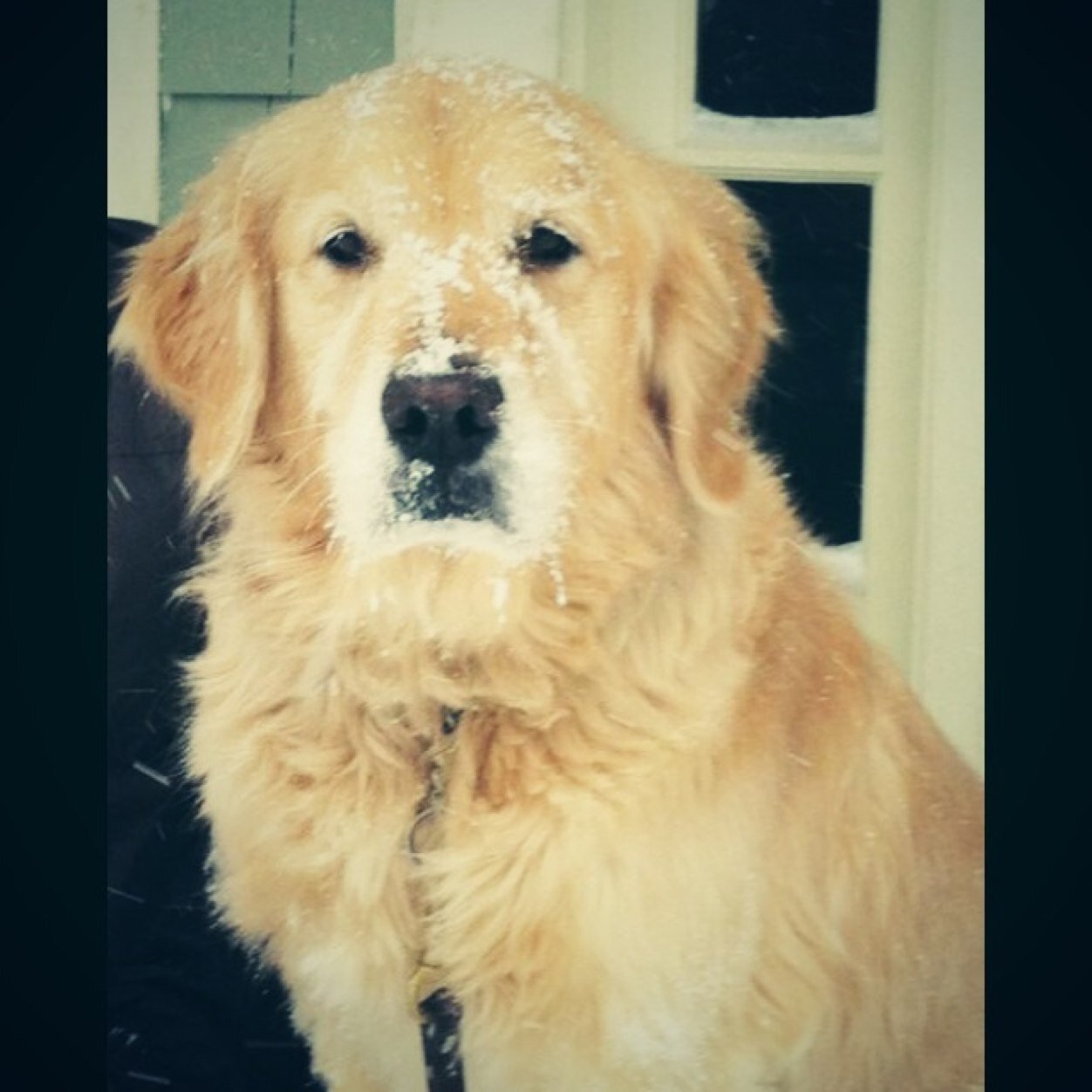 hockeykid41201's profile picture. 