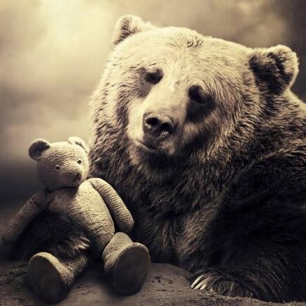 RevengersAnimal's profile picture. Welcome to the official Twitter of T.R.A. The Revengers of Animals, We are a no government organization fighting for animal justice.