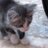 Khulod_ad's profile image