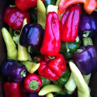 Alvarez Organic (@alvarezorganic) 's Twitter Profile