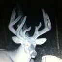 Will Marsh - @GcmarshWill - Twitter