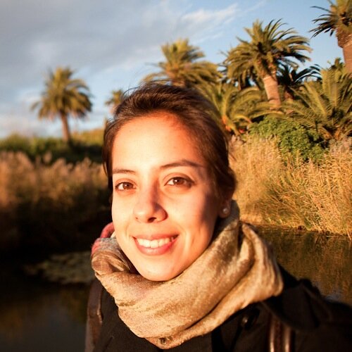 Urban Planner | Expert @IURC_Programme | Co-founder @Agenda_28 | Urban Hiker