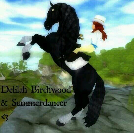 Hey guys, I'm Delilah. My horses are called Stormdancer & Summerdancer ♥