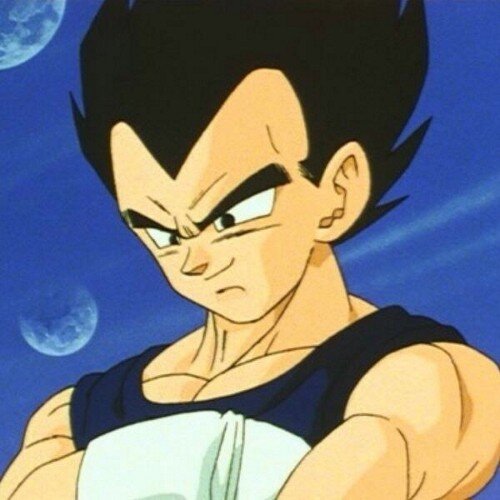 I was brought back even when I destroyed many. But even so I give up anything to protect Bulma, Trunks, and yes even you Kakarot.