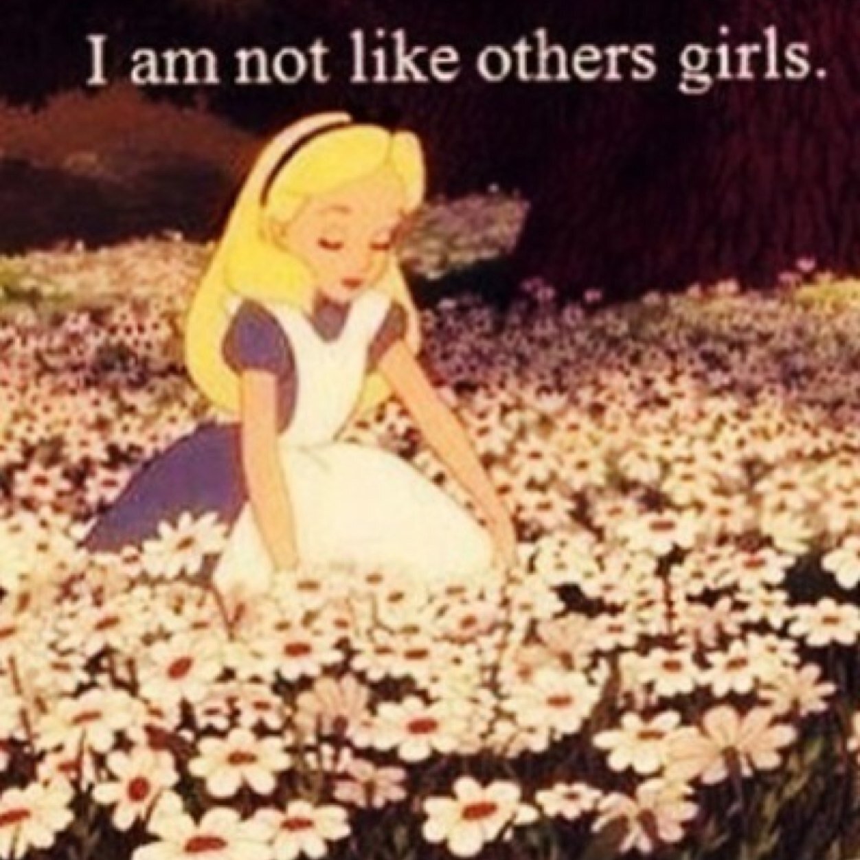 MiscElaineEous's profile picture. i'm not like other girls